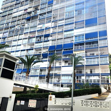 Apartment Alcalde Manuel Catalan Luxury Μπένιντορμ Εξωτερικό φωτογραφία